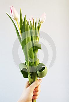 Vertical shot of a hand holding a bunch of tulips on a white background