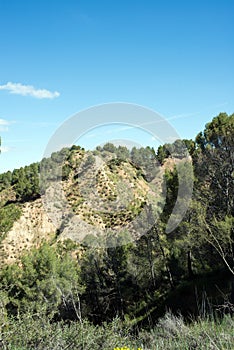 Vertical shot of a hill at Los Cerros Park, a beautiful public park around Alcala de Henares. Madrid photo