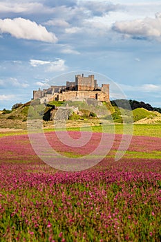 Vertical shot of the historic Bamburgh Castle on a hill near a floral field