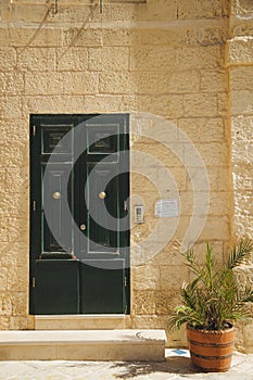 Vertical shot of  a house with a green door and a plant on the front