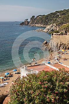Vertical shot of houses on the coastline in Calella de Palafrugell photo