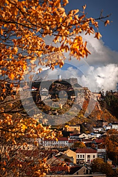 Vertical shot of houses in Halden town on the view of a yellow autumn tree, Norway