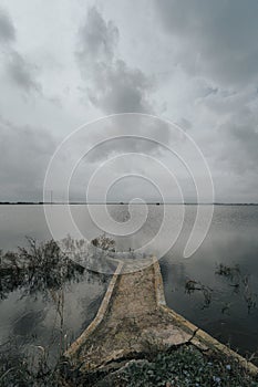 Vertical shot of the lake on a gloomy day in summer