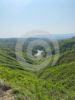 Vertical shot of a lake between green forested mountains