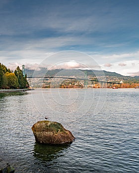 Vertical shot of the lake in the Stanley Park in Vancouver with the view of Lions Gate Bridge