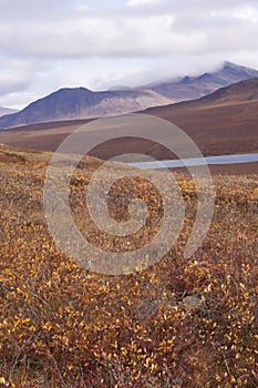 Vertical shot of a lake surrounded by hills in the middle of Gates of the Arctic National Park