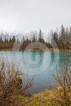 Vertical shot of a large river with a meadow, firs, and high snowy mountains in Alaska