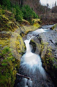 Vertical shot of Lava Canyon trail, Stevenson