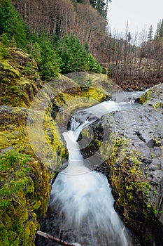 Vertical shot of Lava Canyon trail, Stevenson