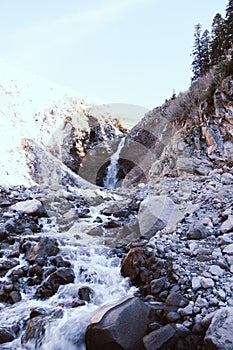 Vertical shot of Lava Canyon trail, Stevenson