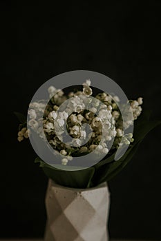 Vertical shot of lily of the valley bouquet in a white geometric vase isolated on a black background