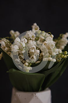 Vertical shot of lily of the valley bouquet in a white vase isolated on a black background