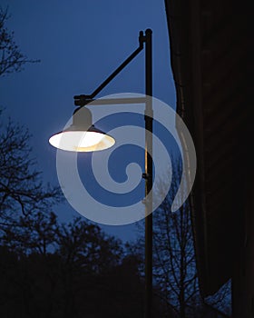 Vertical shot of a lit street lamp with silhouettes of trees in the background