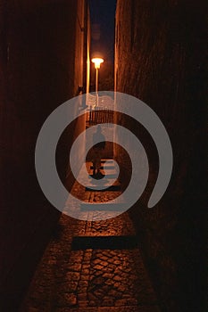 Vertical shot of a lonely girl walking on a narrow street at night