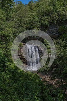 Vertical shot of Looking Glass Falls surrounded by green vegetation. North Carolina, USA.