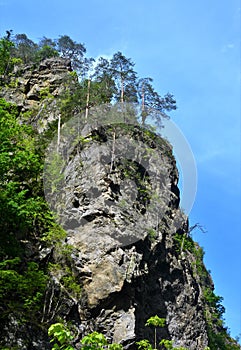 Vertical shot of Lotrisor gorge in Romania