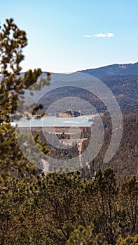 Vertical shot of a lush, green forested mountain range, with tall trees