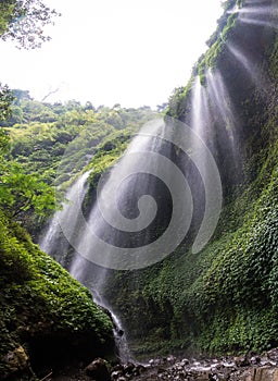 Vertical shot of the Madakaripura Waterfall in a green forest, in Indonesia