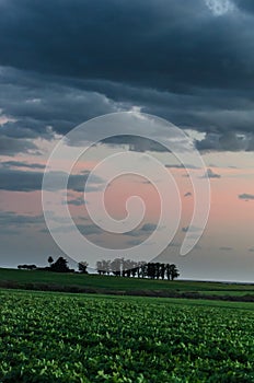 Vertical shot of a majestic cloudscape over an agricultural field in Uruguay, Juan Lacaze, Coloni photo