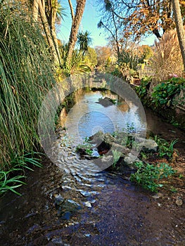 Vertical shot of a manmade river in Paignton, UK