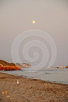 Vertical shot of the moon showing up above the coast of Menorca, Islas Baleares in Spain