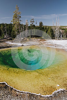 Vertical shot of Morning Glory Pool Wyoming, USA