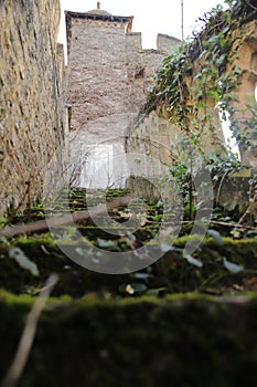 Vertical shot of mossy stairway to an old castle