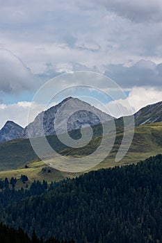 Vertical shot of mountains and lush trees in Arosa, Switzerland