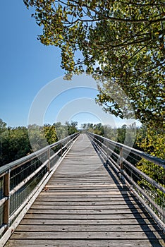 Vertical shot of a narrow wooden bridge under the blue sky photo