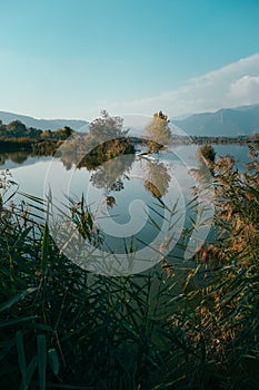 Vertical shot of Natural Reserve Sebino nature, trees reflected in the water photo