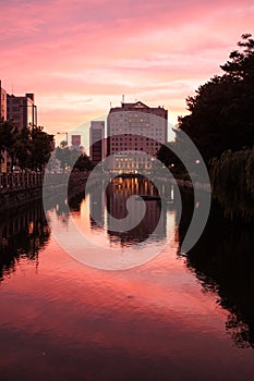 Vertical shot of a new modern residential area near the lake at pink sunset