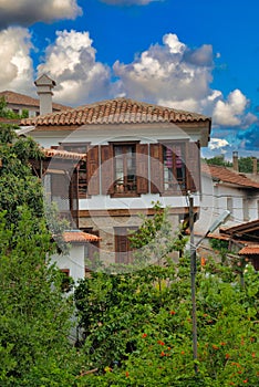 Vertical shot of old buildings surrounded by trees in Sirince Village, Izmir, Turkey