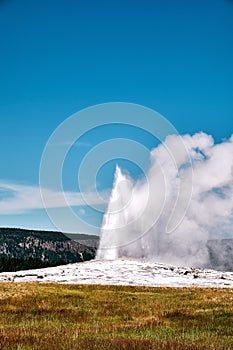 Vertical shot of the Old Faithfull geyser in Yellowstone National Park, Wyoming USA