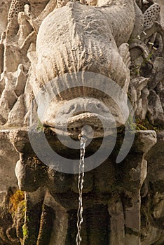 Vertical shot of an old fountain in Aix-en-Provence, France