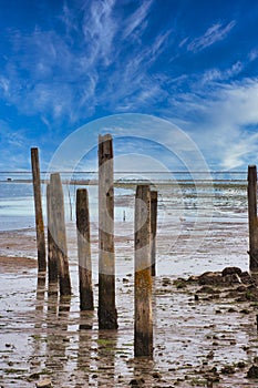 Vertical shot of old pier pilings in the water under a blue sky
