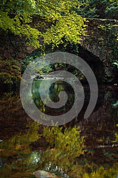 Vertical shot of an old stone bridge over a river in forest and its reflection in the water