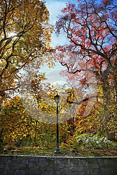 Vertical shot of an old street lantern in a park with fall-colors trees on a sunny day