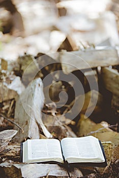 Vertical shot of an open bible on the ground with blurred broken trees in the background