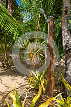 Vertical shot of an outdoor shower surrounded by palm trees in Tonga