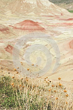 Vertical shot of the Painted Hills, John Day Fossil Beds National Monument