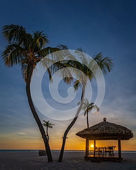 Vertical shot of palm trees and a pavilion on the beach with a golden sunset in the background