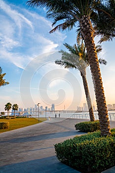 Vertical shot of the palm trees and skyscrapers on the shore of the sea in Abu Dhabi, UAE