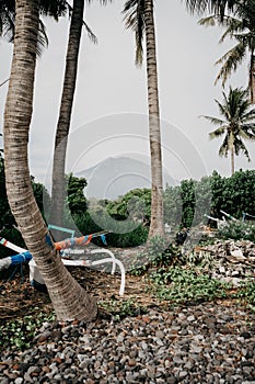 Vertical shot of the palm trees in Tulamben, Bali, with the Gunung Agung mount in the background