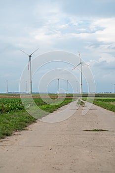 Vertical shot of a path and a green agricultural field with wind turbines under the cloudy sky