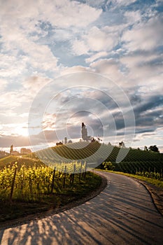 Vertical shot of a path to vineyards in Austria, South Styria at sunset with a cloudy sky above