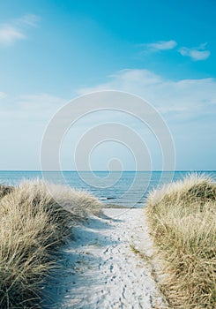 Vertical shot of a pathway leading to the beach at the ocean shore