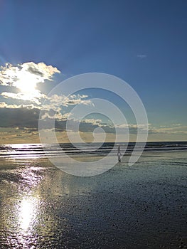 Vertical shot of a person walking on the sandy shore of the sea during sunset