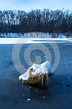 Vertical shot of a piece of wood covered with snow in the frozen lake in Maksimir, Zagreb, Croatia