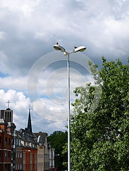 Vertical shot of pigeons on a light post in front of the skyline of Mulheim Ruhr