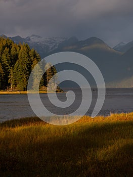 Vertical shot of the Pitt lake with its mountainous shore covered with fir trees at the sunset light